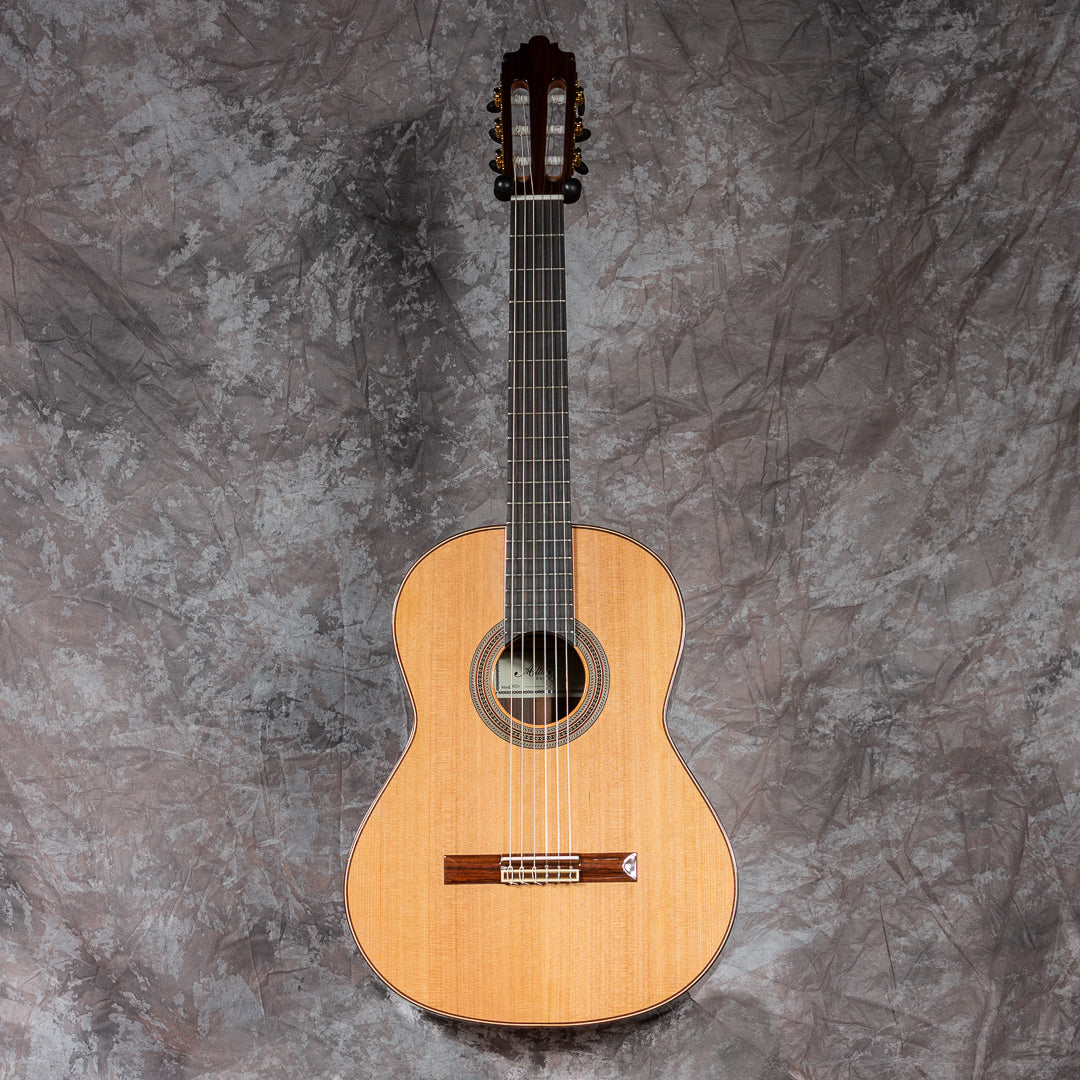Altamira N600