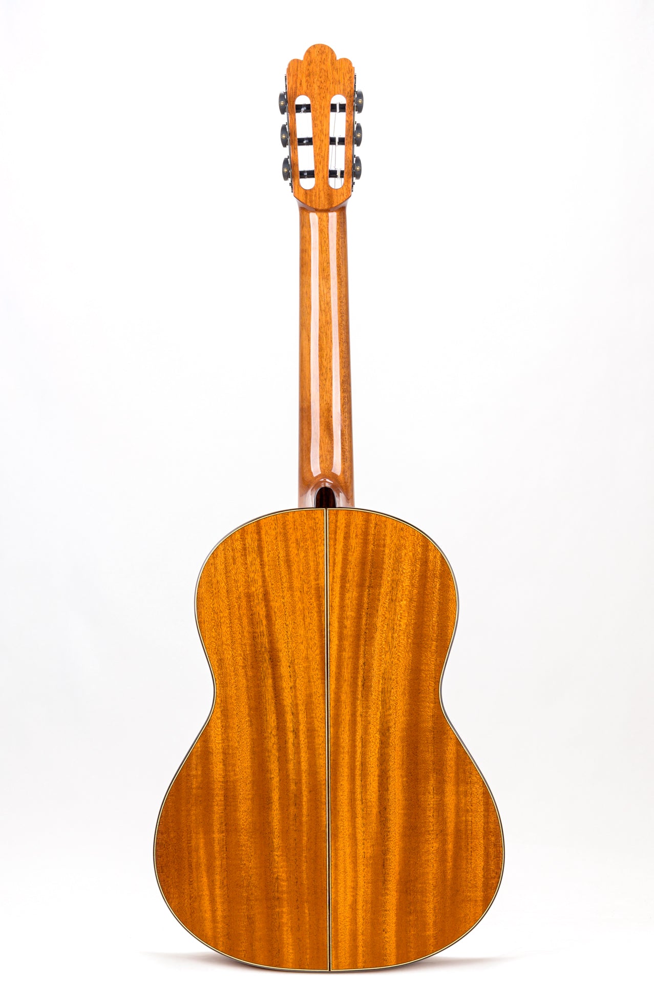 JoLuck A2 Pomposo 630mm.