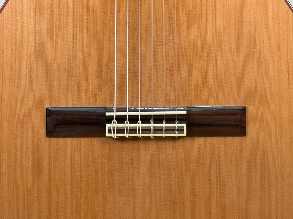 Altamira N300