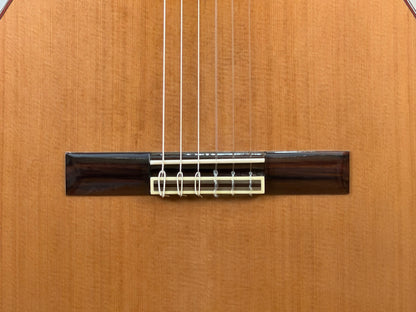 Altamira N300