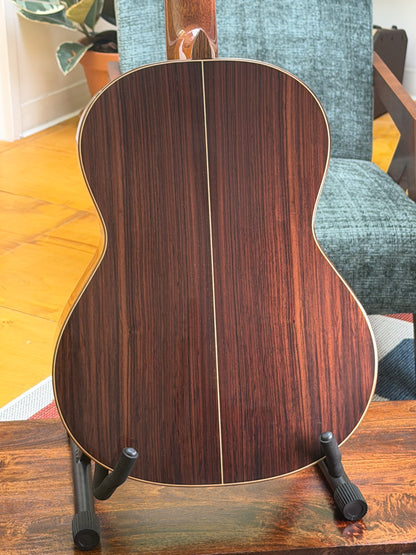 Altamira N300