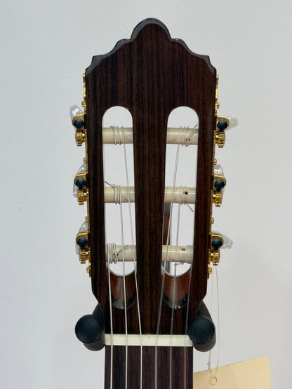 Altamira N300