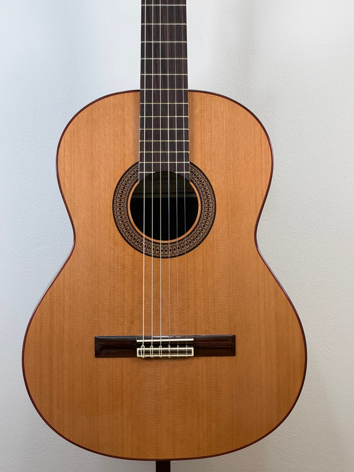 Altamira N300