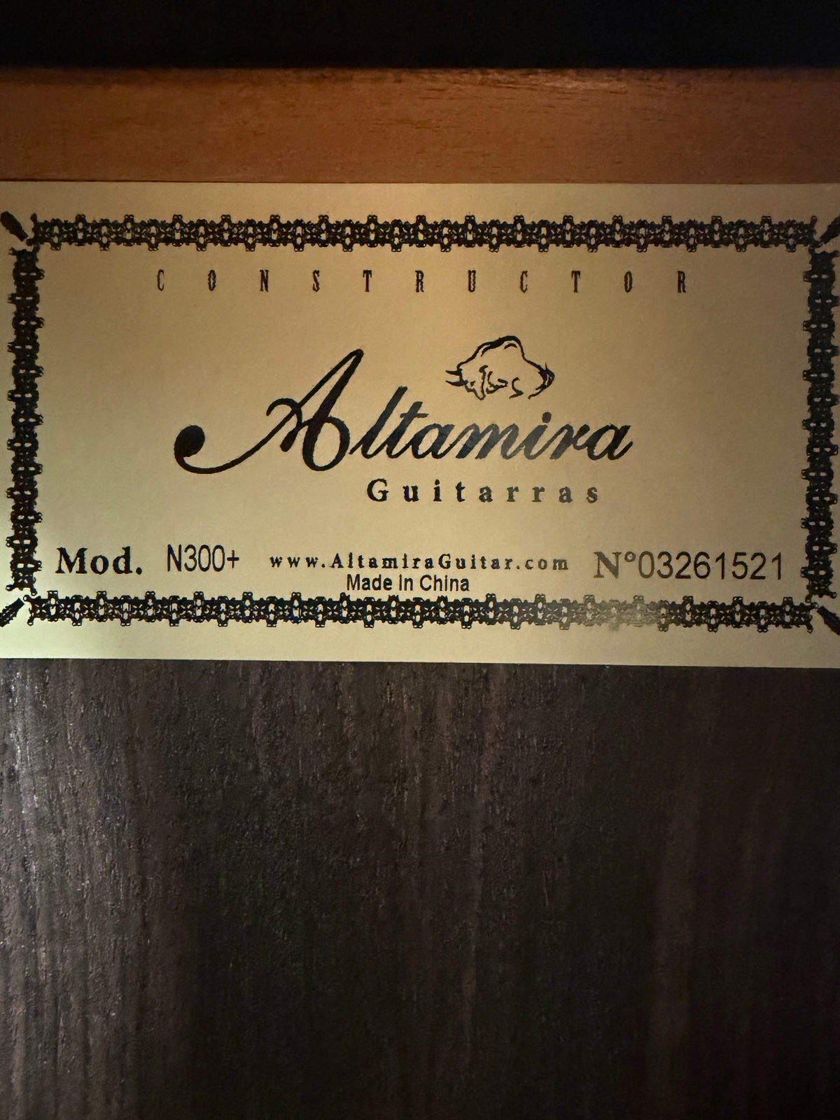 Altamira N300