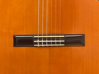 Manuel Velazquez Spruce 1989