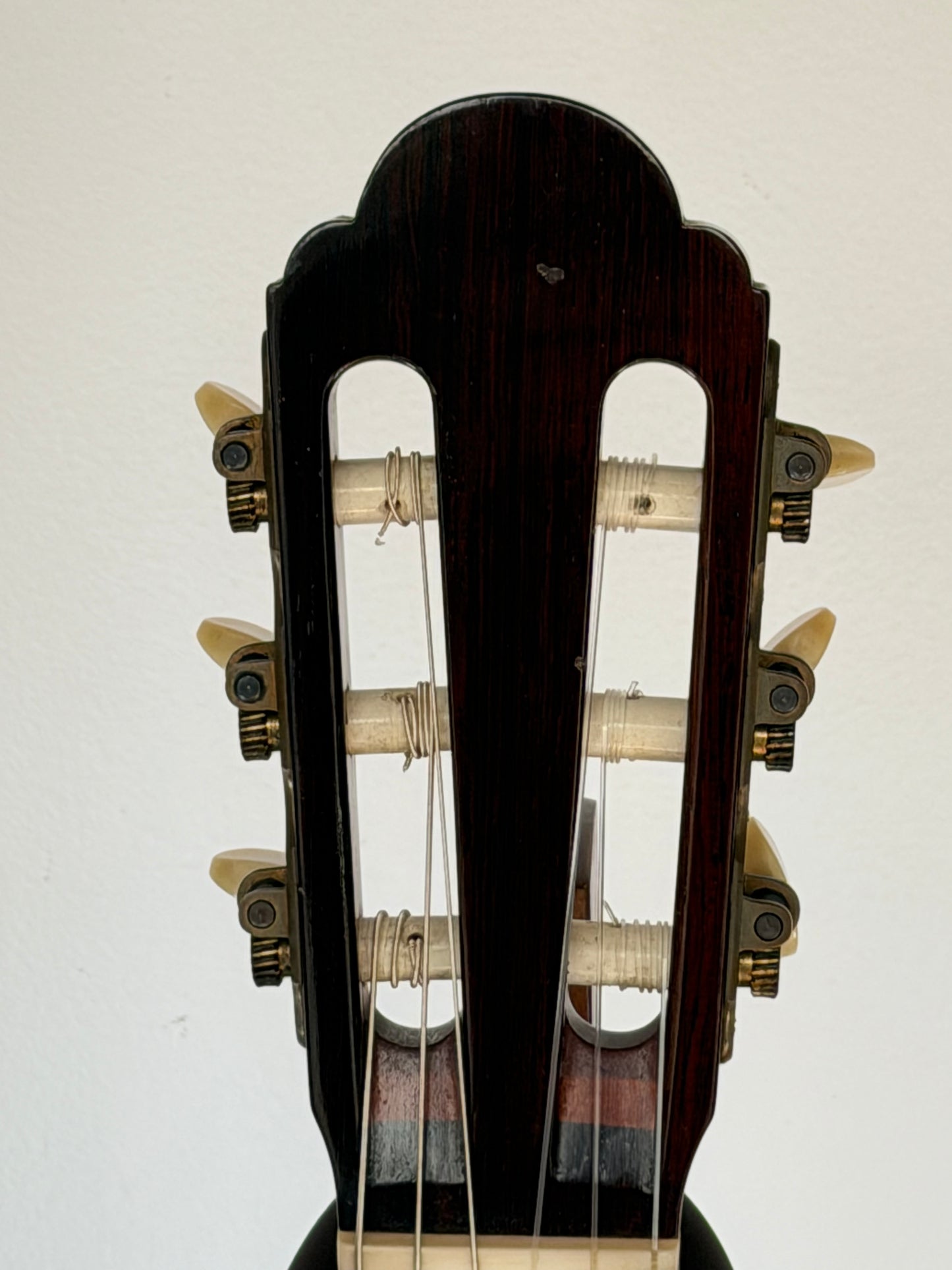 Manuel Velazquez Spruce 1989