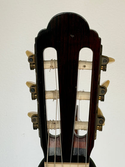 Manuel Velazquez Spruce 1989