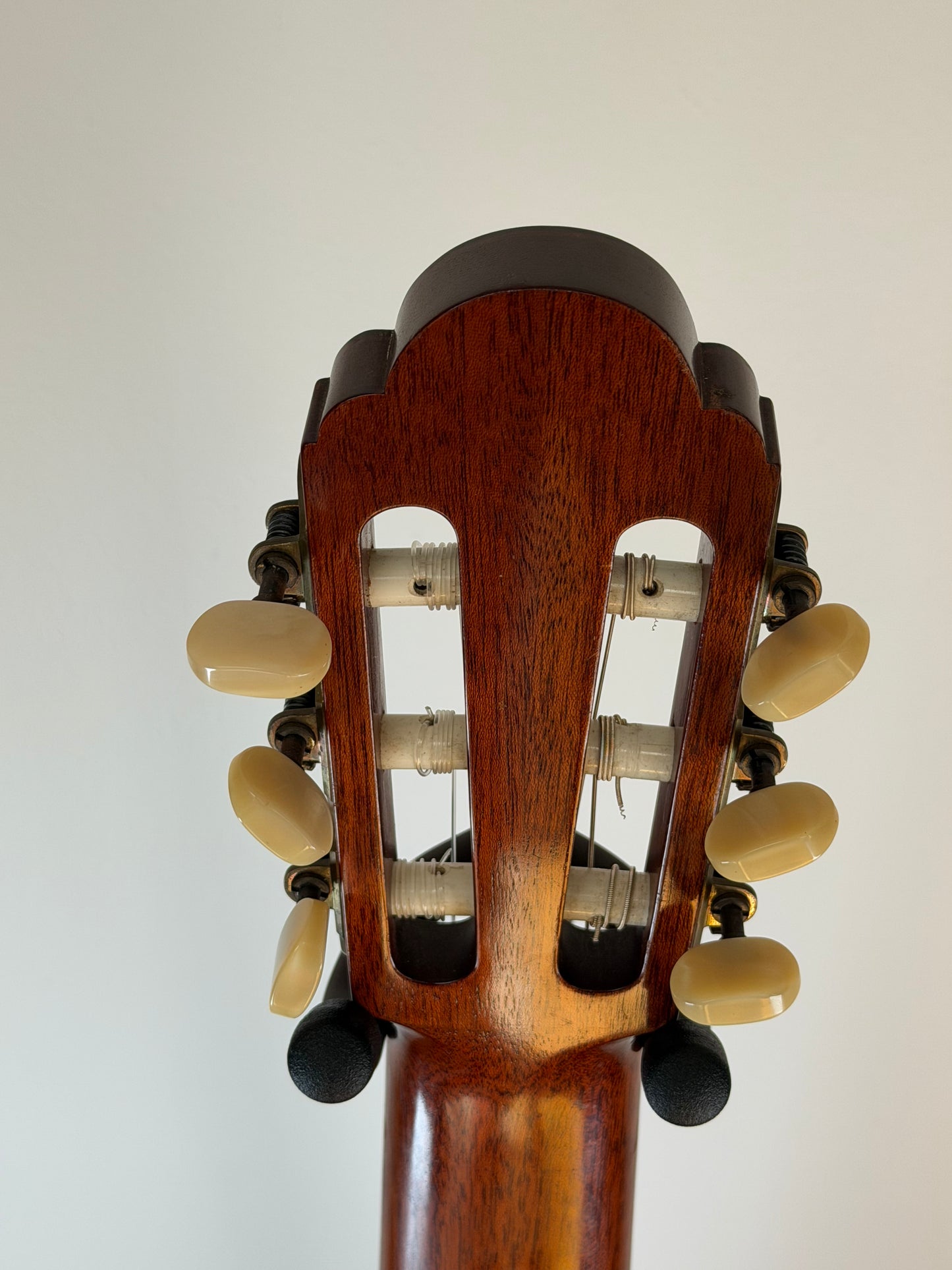 Manuel Velazquez Spruce 1989