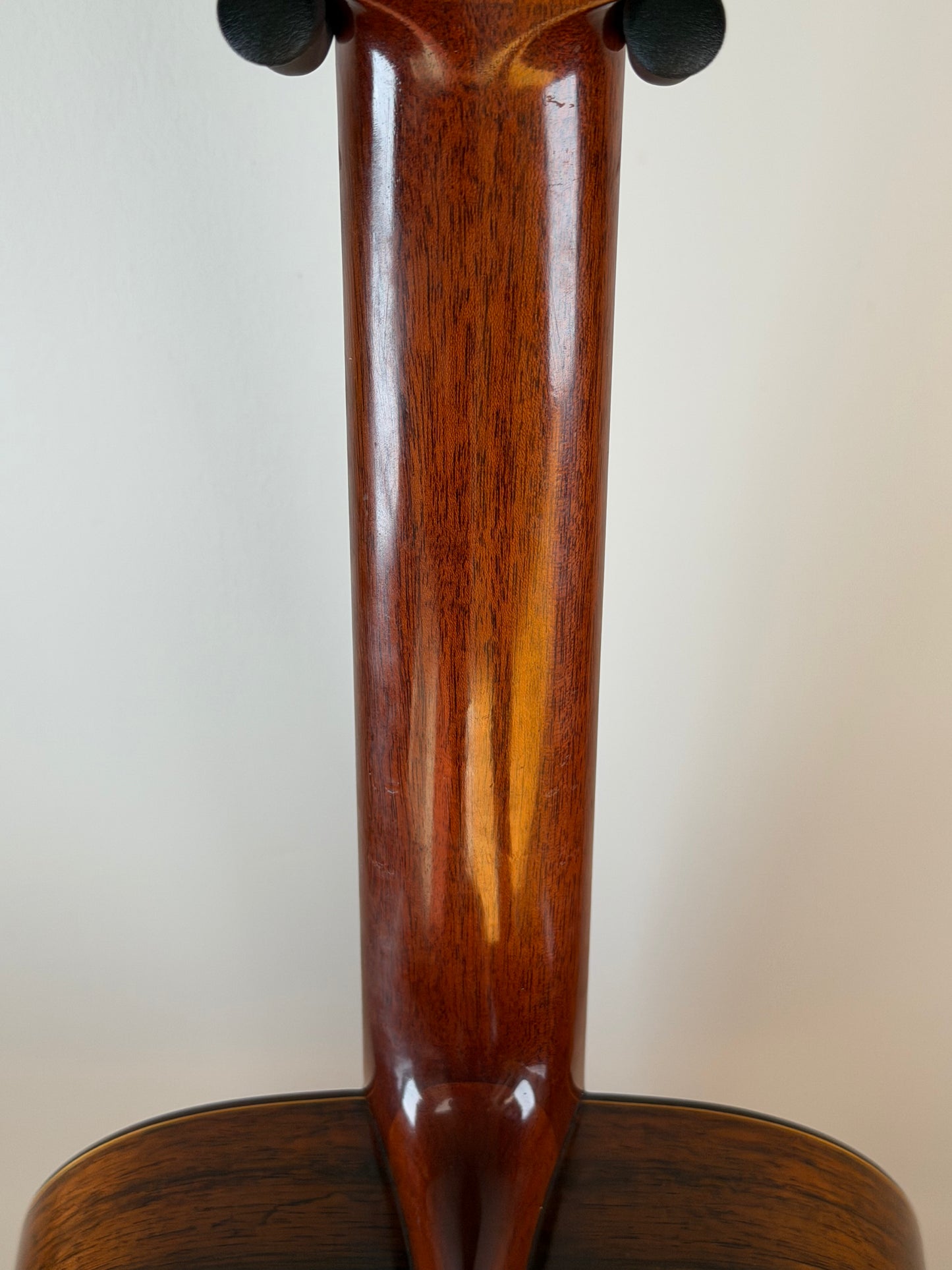 Manuel Velazquez Spruce 1989