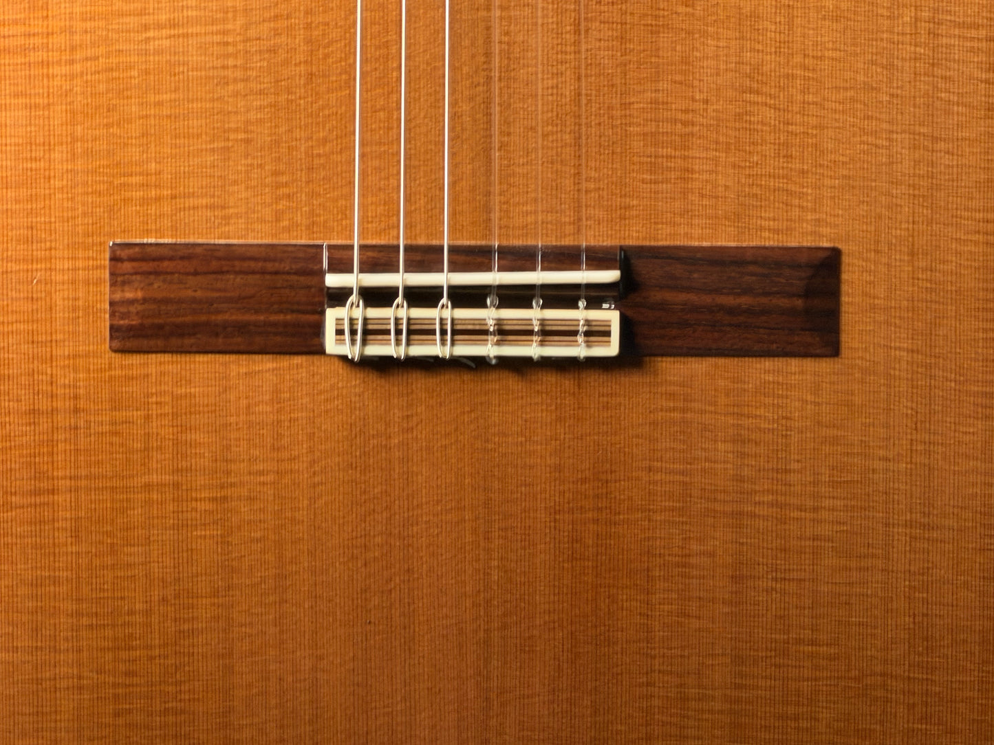 Altamira N400