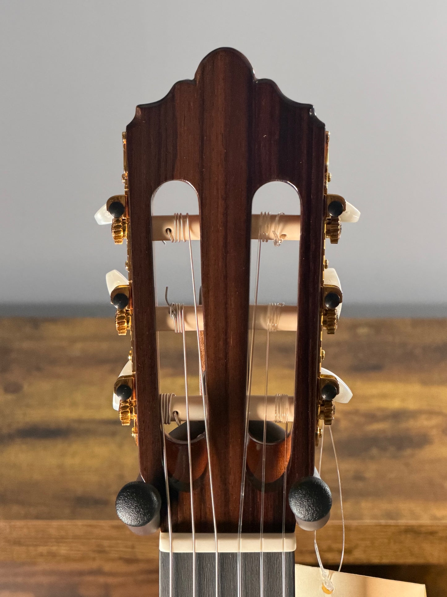 Altamira N400
