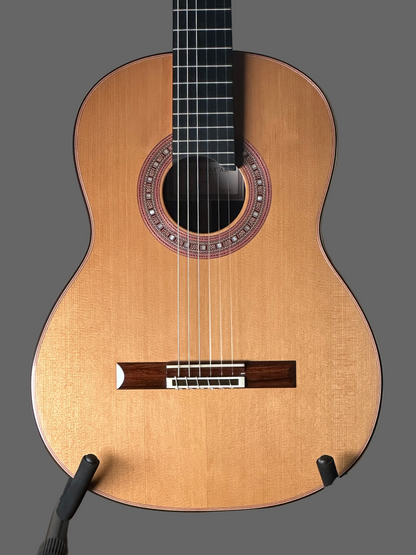 SAERS M900 double top classical guitar