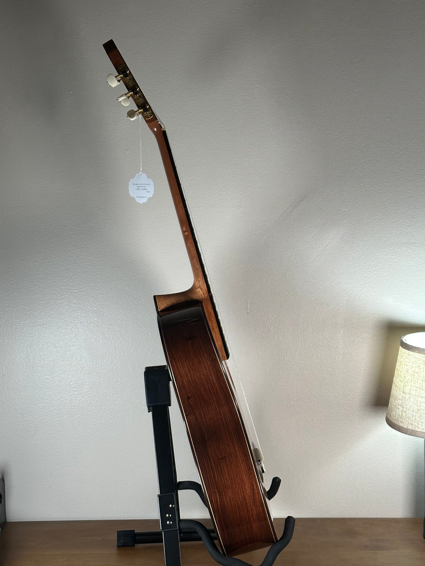 SAERS M900 double top classical guitar