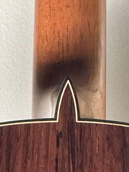 SAERS M900 double top classical guitar