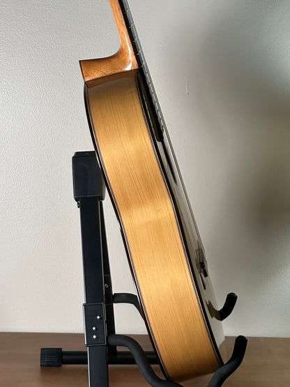 Juan García Fernández Flamenco Blanca