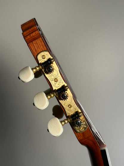 SAERS M900 Madagascar 640mm