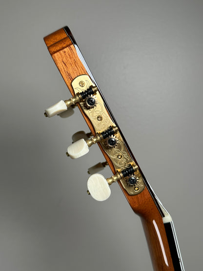 JoLuck C5 Cadenza 640 scale