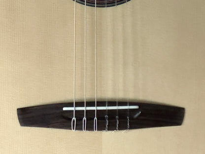 Altamira FZ-3 Fusion Classical Guitar