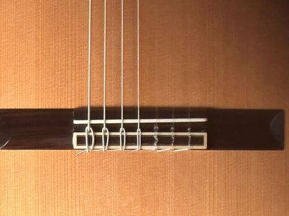 Altamira Sete Cordas (7 strings)