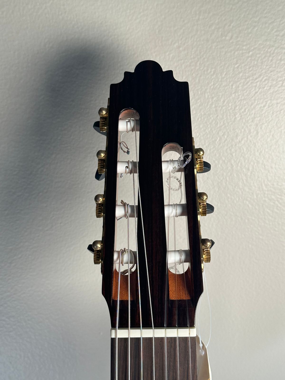 Altamira Sete Cordas (7 strings)