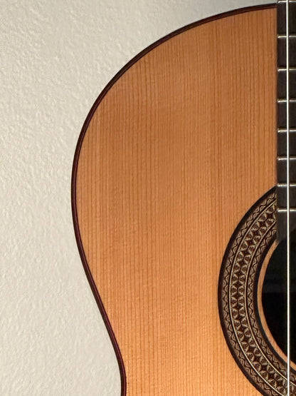 Altamira Sete Cordas (7 strings)