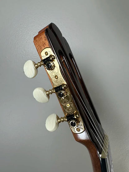 JoLuck C6 Canzonetta