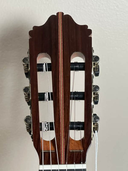 SAERS A50 Spruce Top